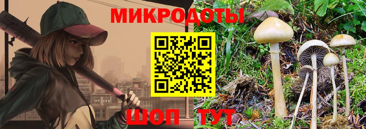 Галлюциногенные грибы Magic Shrooms  Вход с VPN  Галлюциногенные грибы мухоморы  Курск 
